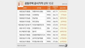 ‘3년 연속 1위’ 전국 최고가 아파트는 ‘더펜트하우스청담’…공시가 162억