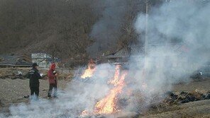 ‘산불 원인’ 밭두렁 태우기, 방제 효과 거의 없어…‘일석삼조’ 방법은?