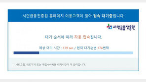 ‘100만원 긴급생계비’ 예약 첫날 신청 폭주…접속 지연