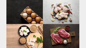 ‘이것’ 적게 섭취한 노인, 빈혈 위험 증가한다