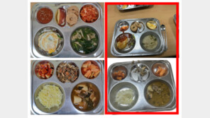 “하교 후 늘 배고프다던 아이”…대전 초등학교서 ‘부실 급식’ 논란