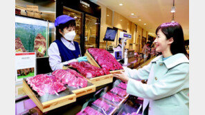 육질 연한 ‘저탄소 한우’ 판로 확보 나선다