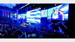 게이머가 직접 개최하는 게임대회… ‘풀뿌리 e스포츠’ 열풍