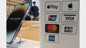 ‘애플페이 먹통’ 출시 이틀 만에 정상화…정태영 “사과드린다”