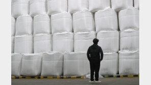 국회 문턱 넘은 양곡법…대통령 거부권 다음달 4일께 결정