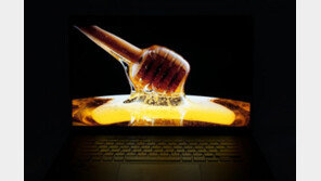 [리뷰] 데스크톱 부럽지 않은 게이밍 노트북, 에이수스 ROG 제피러스 M16