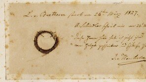 200년 만에 밝혀진 베토벤 사인은 납중독 아닌 ‘이것’