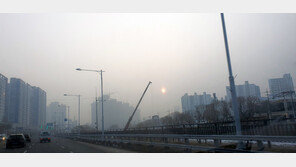 미세먼지로 탈모까지…“체내 독성 없애려면 ‘이것’ 드세요”