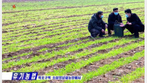 ‘식량난’ 북한의 딜레마…지력 훼손 막기 위한 ‘유기 농법’ 장려