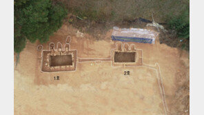 백제인이 사용한 냉장고 발견…딸기·포도·다래 흔적도