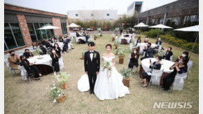 제주서 결혼하는 친구, 비행기 푯값 준다고 했었는데…