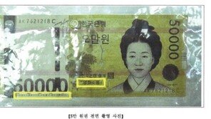 고령 상인 노려 위조지폐 사용…외국인 구속기소