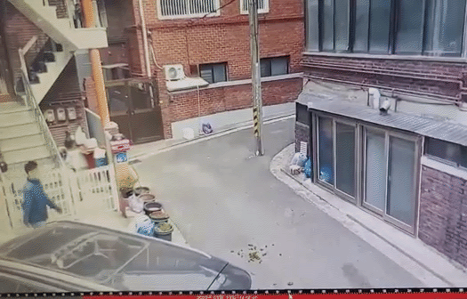 “내가 방금 뭘 본거지?”…골목길 얼룩말 마주친 男 반응에 ‘폭소’ [영상]