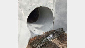 캄캄한 하수도 터널 헤맨 美아이 5명…극적 구조