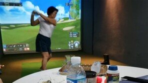 전두환 손자 “돈 없다던 연희동 집에 스크린골프장” 