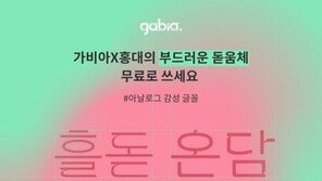 [뉴스줌인] 상업적 이용도 OK, 올해도 무료 글꼴 배포한 가비아