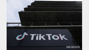 프랑스, 공무원에 틱톡 사용 금지…인스타그램, 넷플릭스 등도 포함