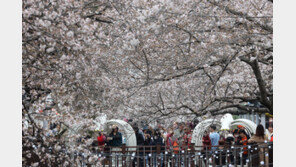 [날씨] 미세먼지 물러나고 전국 곳곳 봄비…제주 최대 10㎜