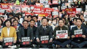 이재명, 개딸 향해 “조작된 이미지 동원한 내부공격 멈춰야”