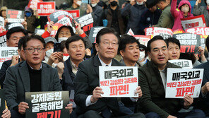 與 “이재명, 국익 얘기할 자격 있나…사익추구 국가대표”