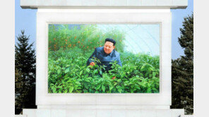 北 ‘온실농장’ 김정은 모자이크화 재조명… ‘먹거리 챙기는 지도자’ 부각