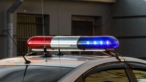 벌금 500만원 때문에…수사관 피해 도주하던 60대 추락사