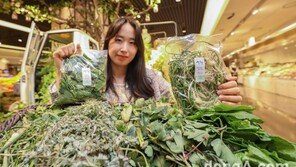 [포토]현대백화점, 경남 산청군 ‘지리산 봄나물’ 판매 