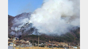 강화도 마니산 불… ‘국가 보물’ 위협