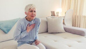 ‘이 과일’, 면역력 높여주고 심장 건강에 도움