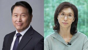 노소영, 최태원 SK회장 동거인에 30억 위자료 청구