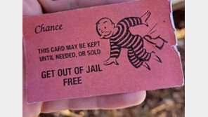 ‘웃기니까 봐줘’…운전 중 경찰 마주친 男, ‘보드게임 카드’ 제출