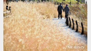 한국 男, 女보다 6년 일찍 죽는다…폐암·폐렴·심장질환 등 영향