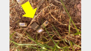 “산책 중 발견한 ‘어묵’ 만지지 마세요, 광견병 백신입니다”