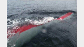 軍 ‘초대형 무인잠수정’ 기술 연구… 北 핵어뢰 ‘해일’ 압도하나