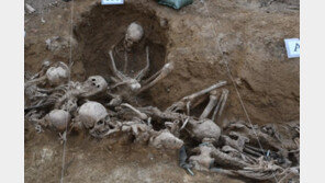 70년전 방공호 파자 양손 묶인 유해…“엄마 찾고 싶어요”