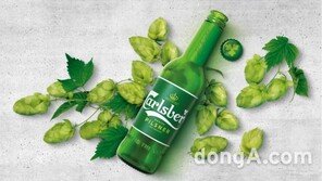 칼스버그 국내 유통 제동… 골든블루 “일방적 계약해지” 주장