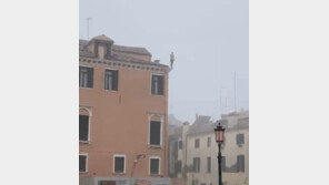 목숨 걸고 ‘좋아요’ 구걸?…3층 건물서 운하로 풍덩