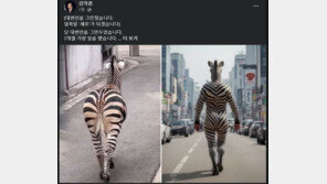 김의겸 “얼룩말 ‘세로’ 되겠다”…김근식 “고삐 풀린 망아지”