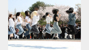 벚꽃 만발한 캠퍼스서 댄스공연