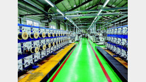 세계 두 번째로 엘라스토머 섬유 개발… 기능성 섬유 시장서 러브콜 잇따라