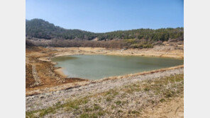 하루 2100톤씩 물 부어도 저수율 3%…최악 가뭄 완도군 ‘신음’