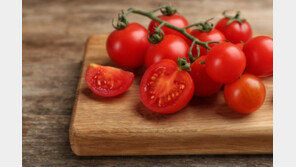 “방울토마토 먹고 구토” 잇단 호소…식약처 긴급조사 착수