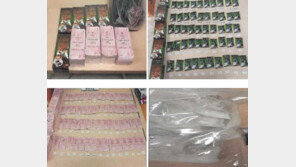 ‘급여보다 수익 많아…’ 마약밀수에 손댄 외국인 근로자들