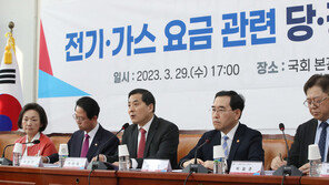당정 “전기·가스 요금 인상 불가피…국민 부담 최소화 원칙”