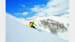 벚꽃보며 스키… 롯데호텔, 日리조트서 글로벌 체인 도약 시동 