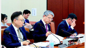 연금특위 자문위, 맹탕 보고서… 얼마 더 내고 얼마 받을지 빠져 