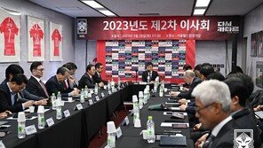 비위행위 100명 사면한 축구협회…하태경 “나쁜 선례, 진상 밝힐 것”