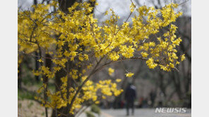 명동역~남산 정상 곤돌라로 이동…이르면 2025년 가능