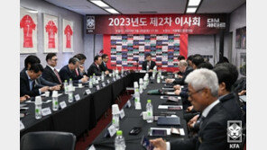 승부조작 사면 역풍에 놀란 축구협회…재논의 수순