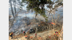 인천 서구 야산서 불…1시간23분만 주불 진화